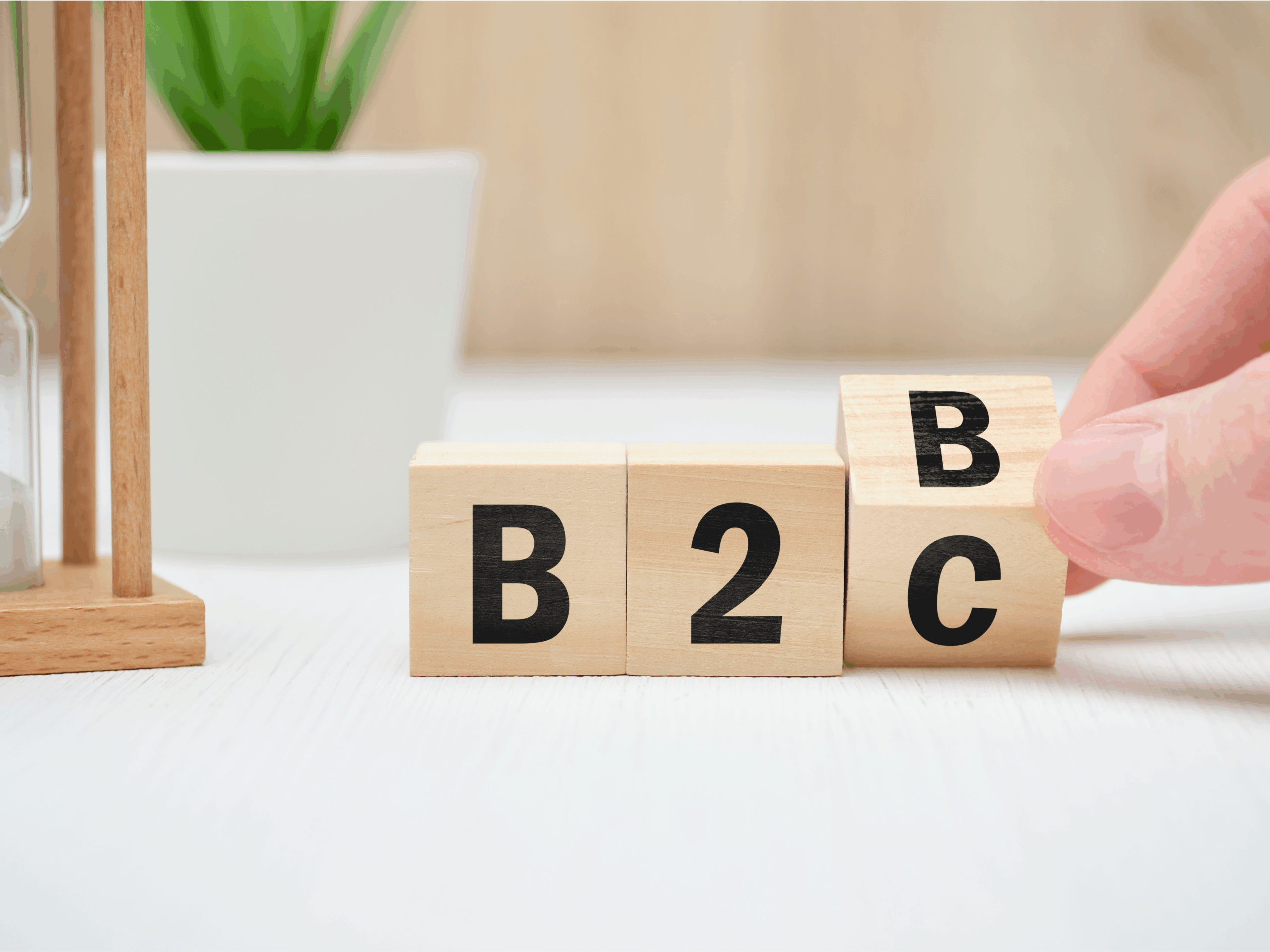 B2bvsb2c
